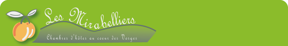 Chambres d'hôtes Les Mirabelliers 88 Ban-De-Laveline