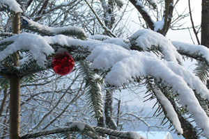 chambres d'hôtes vosges les mirabelliers Ban de Laveline