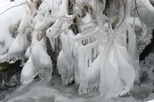 chambres d'hôtes vosges les mirabelliers Ban de Laveline