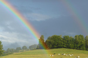 chambres d'hôtes vosges les mirabelliers Ban de Laveline
