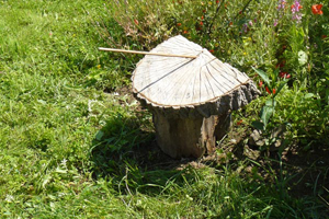 chambres d'hôtes vosges les mirabelliers Ban de Laveline