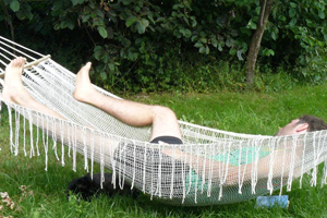 chambres d'hôtes vosges les mirabelliers Ban de Laveline