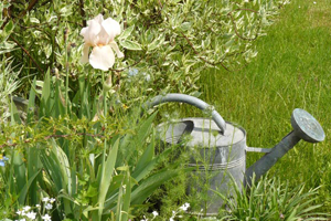 chambres d'hôtes vosges les mirabelliers Ban de Laveline